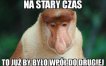 Zdjęcie 23