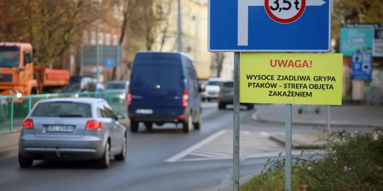 Ptasia grypa w Olsztynie. Wyznaczono specjalną strefę