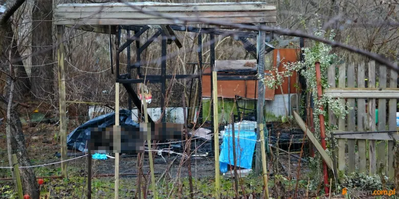 Poranny dramat przy ul. Smętka w Olsztynie. Pożar altanki pochłonął ludzkie życie [ZDJĘCIA]