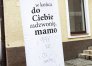 Zdjęcie 13