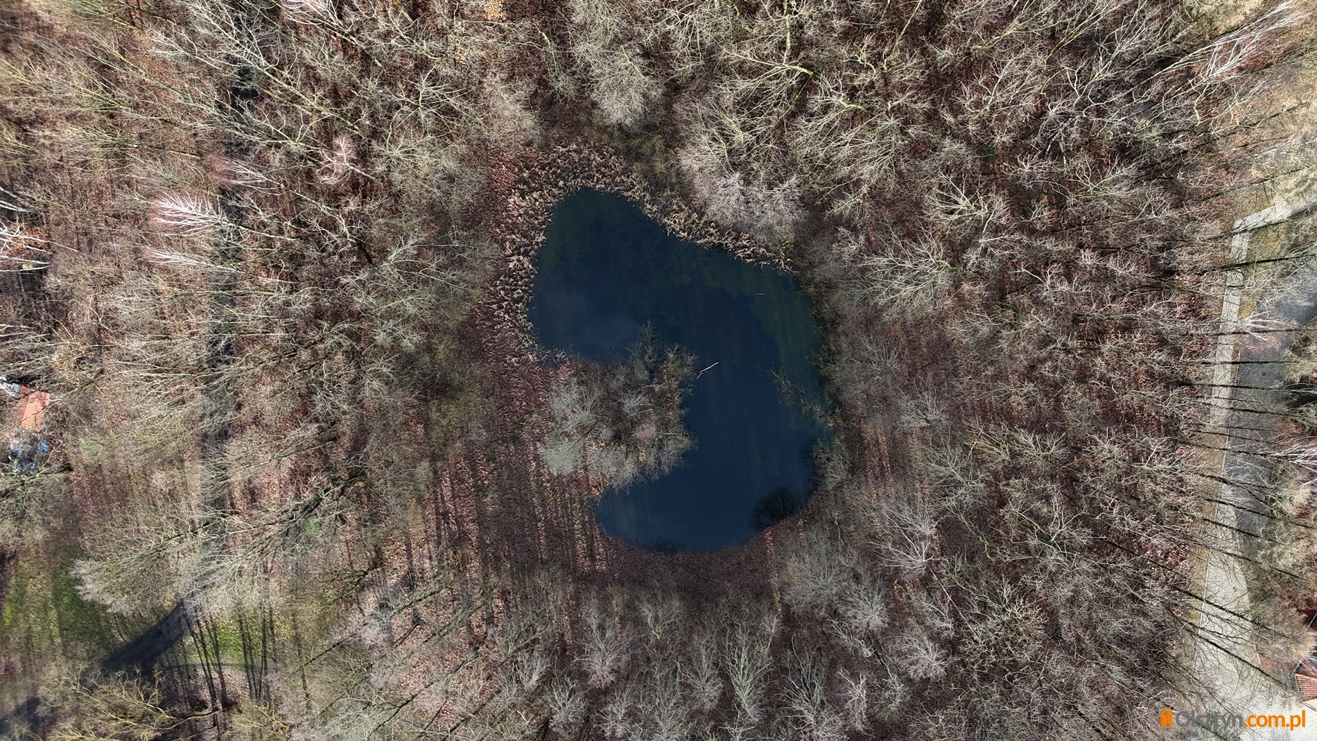 Tajemnicze olsztyńskie jezioro, o którym niemal nikt nie wie [ZDJĘCIA, WIDEO]