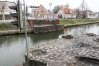 Zdjęcie 17