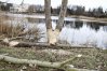 Zdjęcie 17