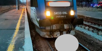 Artykuł: Gmina Pieniężno. Źrebna klacz wpadła pod szynobus linii Braniewo-Olsztyn