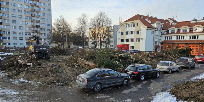 Straż pożarna w Olsztynie wycięła 32 drzewa pod inwestycję. Apel działacza ekologicznego na nic [ZDJĘCIA]