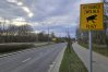 W okolicy al. Obrońców Tobruku pojawiły się znaki "Kierowco, zwolnij! Płazy"