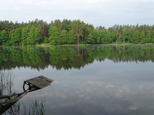 Jezioro Herta Duża (potocznie Żabie Oczko)