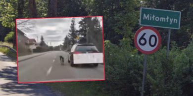 Artykuł: Powiat ostródzki. Kierowca prowadził psa na smyczy, jednocześnie jadąc autem! [WIDEO]