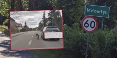 Powiat ostródzki. Kierowca prowadził psa na smyczy, jednocześnie jadąc autem! [WIDEO]