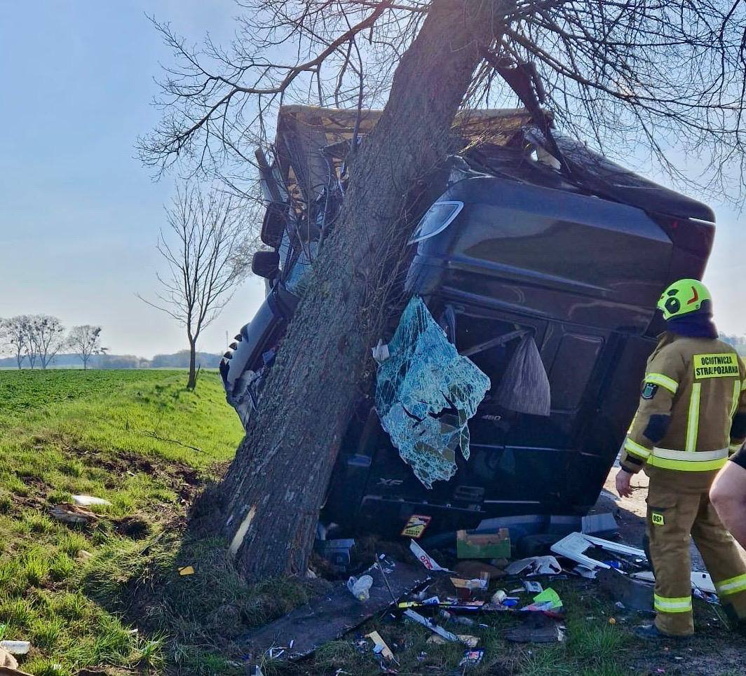 Kierowca ciężarówki "ściął" drzewo w gminie Grunwald. Zablokowana droga wojewódzka [ZDJĘCIA]
