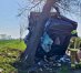 Zablokowana jest DW537 po tym, jak kierowca ciężarówki uderzył w drzewo w gminie Grunwald