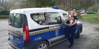 Pieskie życie w Olsztynie i okolicy. Jeden ranny, drugi porzucony, trzeci zmorą rowerzystów