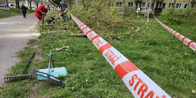 Na osiedlu Kormoran na dziecięcy wózek spadł fragment drzewa [AKTUALIZACJA]