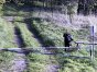 Kadr z monitoringu na granicy