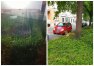 Strażnicy miejscy w Olsztynie pomogli zwierzętom w potrzebie