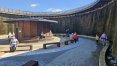 Zdjęcie 11