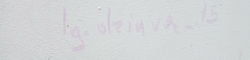 Julka bazgrała po filarze mostu w parku Centralnym. Wpadła dzięki monitoringowi