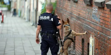Obława na Zatorzu. W akcji m.in. psy tropiące [ZDJĘCIA]