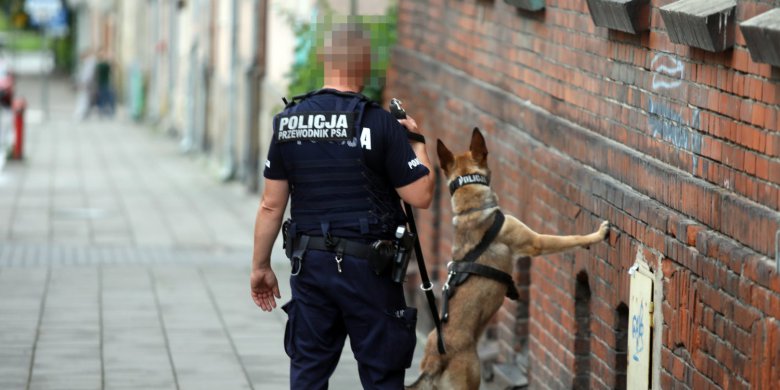 Obława na Zatorzu. W akcji m.in. psy tropiące [ZDJĘCIA]