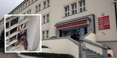 Artykuł: Olsztyn. Borsuk z wizytą w urzędzie wojewódzkim [ZDJĘCIA]
