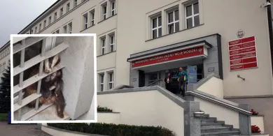 Olsztyn. Borsuk z wizytą w urzędzie wojewódzkim [ZDJĘCIA]