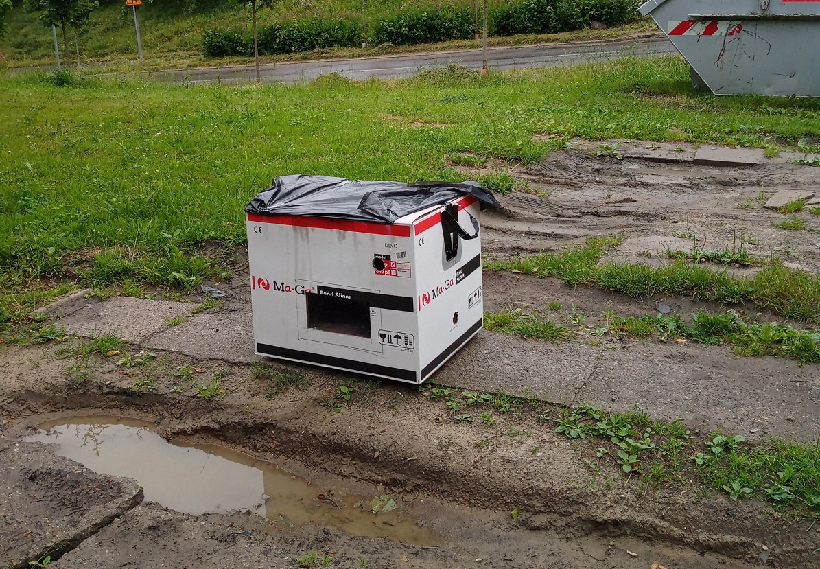 Nagórki. Ktoś "zapakował" koty do kartonu i porzucił na trawniku [ZDJĘCIA]