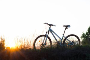 Warmińsko-mazurska część Green Velo rozpoczyna się w Elblągu i kończy na trójstyku granic Polski, Litwy i obwodu królewieckiego. Odcinek ten wynosi 397 km