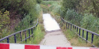 Artykuł: Jak zatrzymać zalewanie Łynostrady? Radni przedstawili rozwiązanie prezydentowi Olsztyna