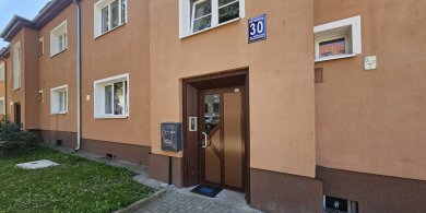Artykuł: Reymonta 30. Cebula w wentylacji i czarny dym. Seniorka od lat walczy o oddech we własnym mieszkaniu [AKTUALIZACJA]