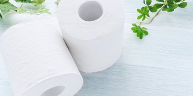 Artykuł: Wybór papieru toaletowego – jak znaleźć najlepszą opcję dla swojej łazienki