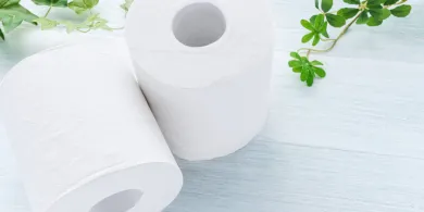 Wybór papieru toaletowego – jak znaleźć najlepszą opcję dla swojej łazienki