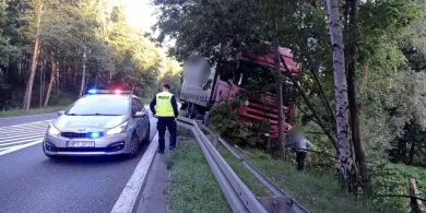 Chwile grozy na DK 16 pod Starymi Jabłonkami - intruz pojawił się nagle przed ciężarówką