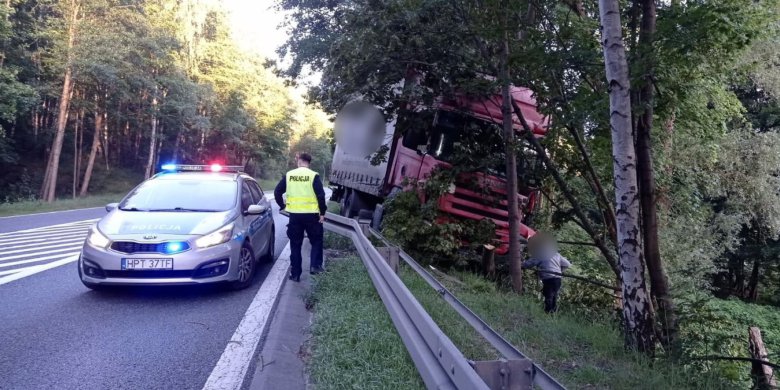 Chwile grozy na DK 16 pod Starymi Jabłonkami - intruz pojawił się nagle przed ciężarówką