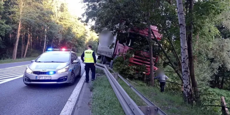 Chwile grozy na DK 16 pod Starymi Jabłonkami - intruz pojawił się nagle przed ciężarówką