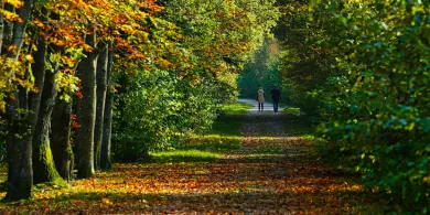 Koniec lata i pourlopowa chandra. Jak zadbać o swoje samopoczucie i nie zaniedbać leczenia?