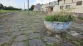 Zdjęcie 10