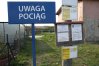 Zdjęcie 10