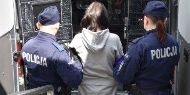 Artykuł: Gmina Dywity. Napadli 72-latka w mieszkaniu. Wśród napastników 35-latka