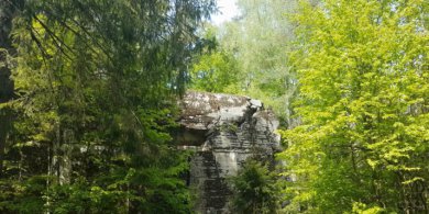 Artykuł: Nie tylko Wilczy Szaniec. Hochwald – zapomniana kwatera Himmlera
