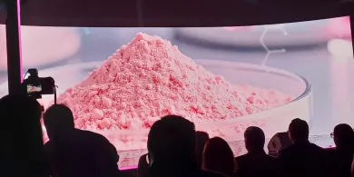 Na Warmii chcą produkować tzw. różowe złoto. To prawdziwa rewolucja