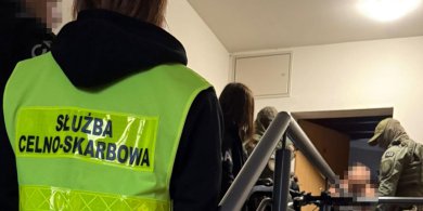 Artykuł: Na co Polacy najczęściej donoszą fiskusowi? Katalog jest dość szeroki [DANE Z KAS]
