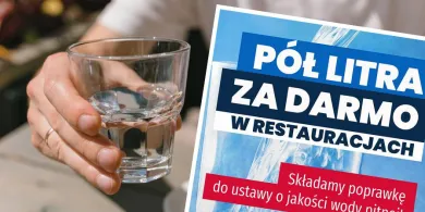 Pomysł Nowej Lewicy: pół litra do kotleta gratis
