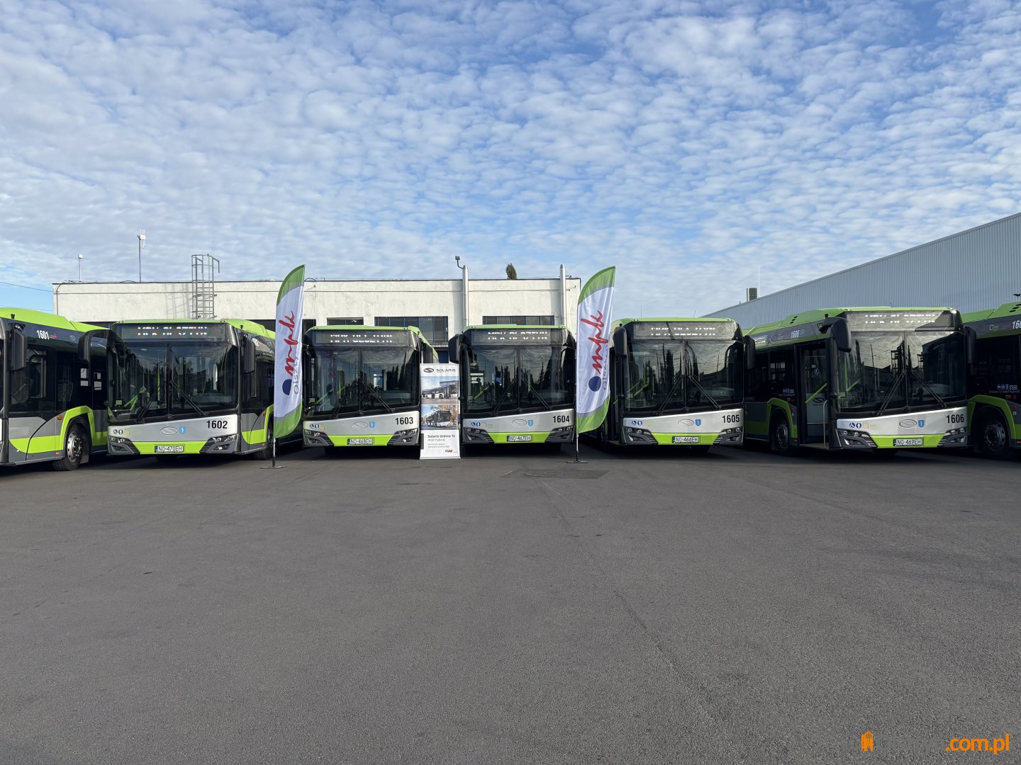 10 nowych autobusów hybrydowych. Olsztyn odmładza tabor i zapowiada kolejne inwestycje [ZDJĘCIA]