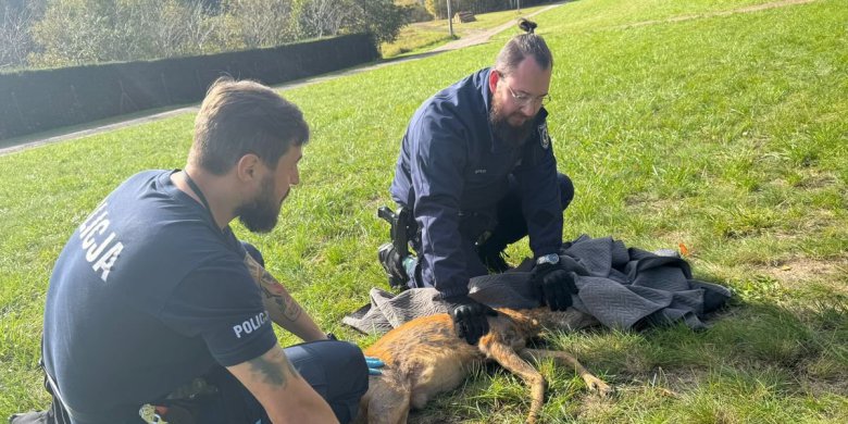 Gmina Dywity. Policjanci pomogli sarnie [ZDJĘCIA]