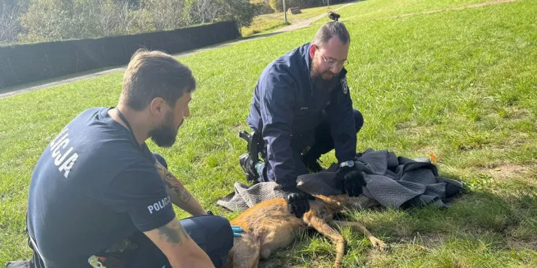 Gmina Dywity. Policjanci pomogli sarnie [ZDJĘCIA]