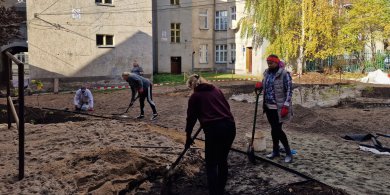 Artykuł: "Podwórka z Natury". Mieszkańcy Olsztyna biorą sprawy w swoje ręce