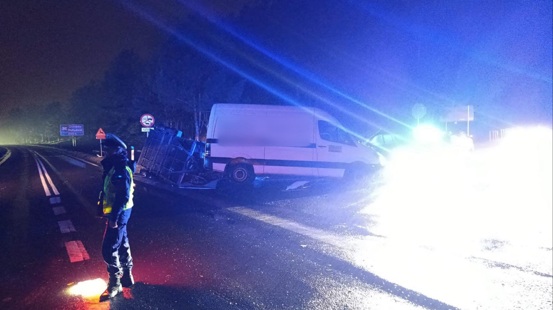 DK 16. Wypadek pod Ostródą. W zdarzeniu poszkodowana m.in. 14-latka oraz psy