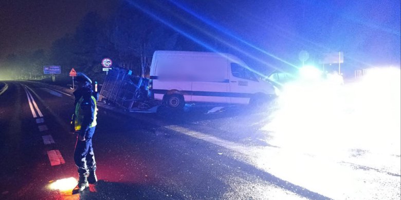 DK 16. Wypadek pod Ostródą. W zdarzeniu poszkodowana m.in. 14-latka oraz psy