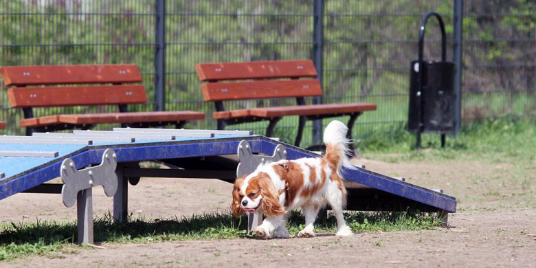 Powraca sprawa „zabójczych oprysków” w Olsztynie. Wyniki kontroli zaskakują