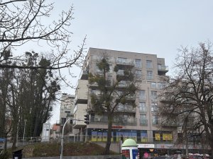 Kiedyś chodziło się do "Kopernika", "Grunwaldu" i "Polonii". Pamiętasz te olsztyńskie kina?